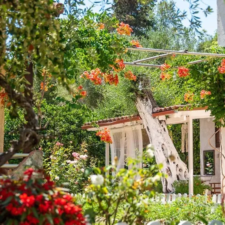 Anneta Studios Sivota  Exterior photo